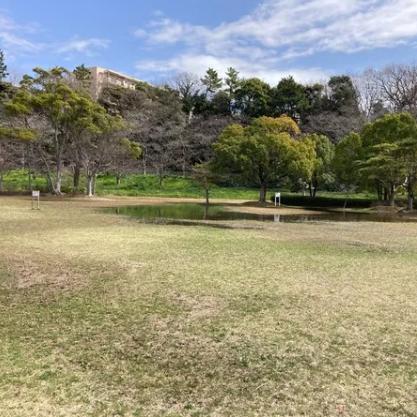 公園　長津川親水公園（公園）まで1370m