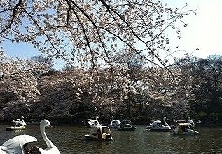公園　井の頭公園（公園）まで1400m