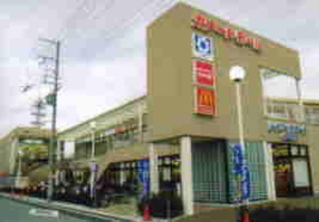 スーパー　デイリーカナート住吉店（スーパー）まで619m