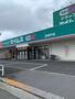 ドラックストア　ドラッグセイムス 加美平店（ドラッグストア）まで693m