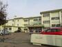 小学校　恵庭市立和光小学校（小学校）まで676m