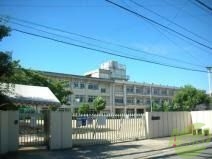 小学校　石橋小学校（小学校）まで319m