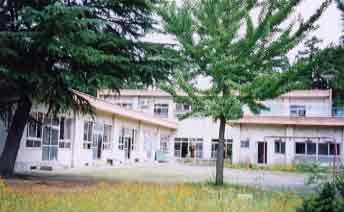 幼稚園・保育園　南新町保育園（幼稚園・保育園）まで341m