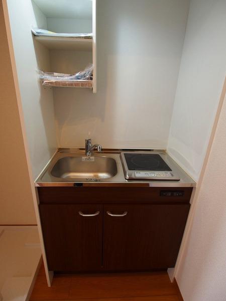 ステラ多摩川のキッチン写真