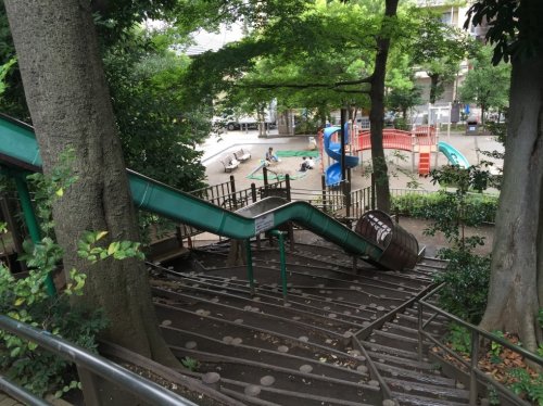 公園　目黒区立自由が丘公園（公園）まで328m