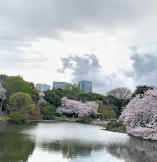 公園　新宿御苑（公園）まで428m