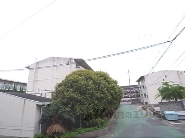 パトラスのその他写真