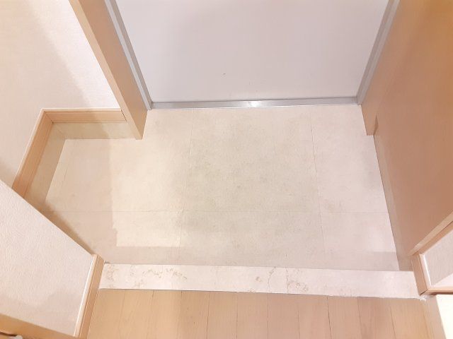 ザ・ヒルズ・市川の玄関写真