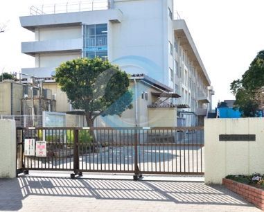 中学校　市川市立福栄中学校（中学校）まで190m