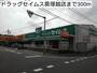 ドラックストア　ドラッグセイムス蕨塚越店（ドラッグストア）まで300m