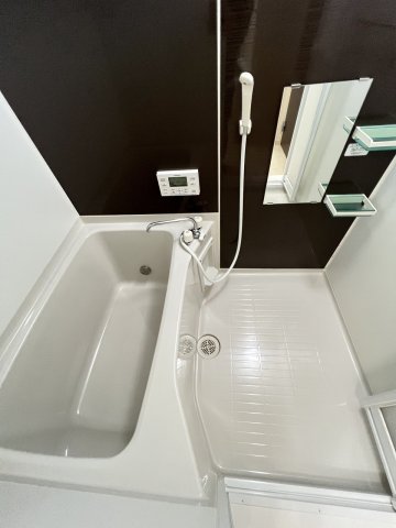 バス・シャワールーム　反転タイプの部屋の写真です