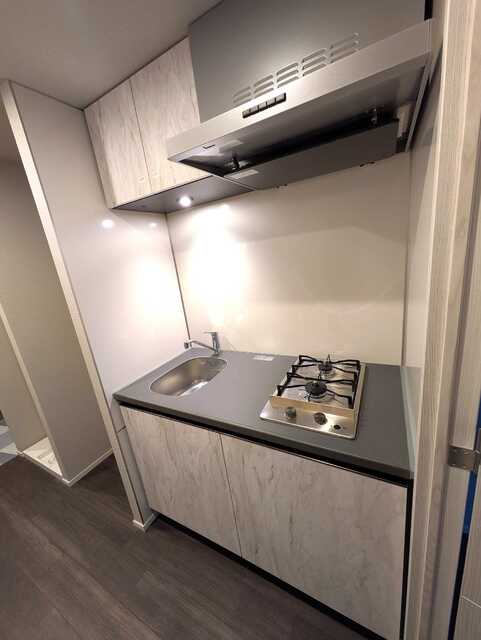 キッチン　◆料理を楽しめる２口ガスコンロ付きシステムキッチン◆