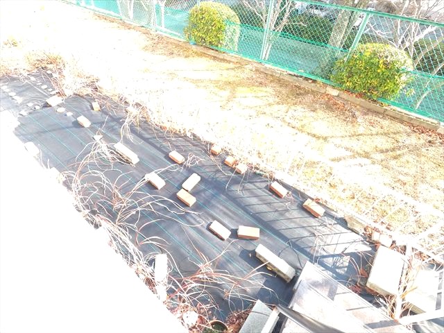 庭　専用庭でガーデニングを楽しめますよ