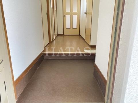 玄関　同物件別部屋です。