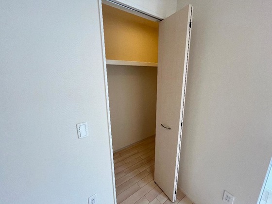 収納　※別部屋の写真です