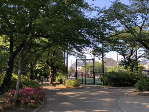 公園　城北公園（公園）まで570m