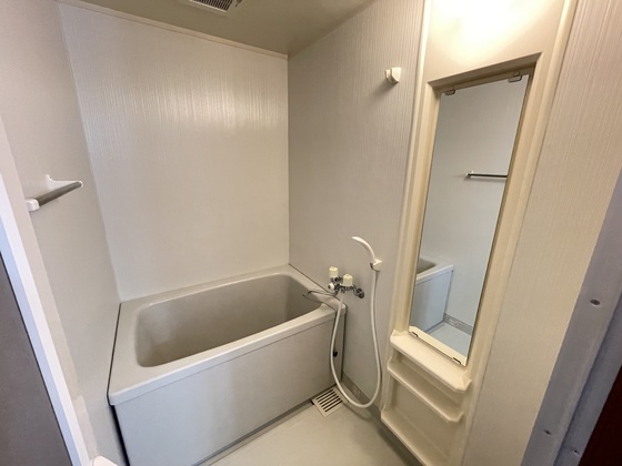 バス・シャワールーム　※別部屋の写真です