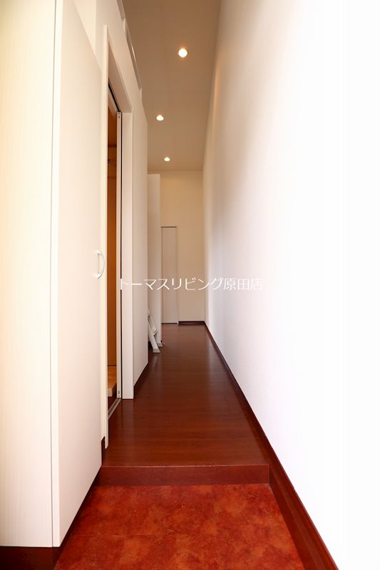 玄関　203号室写真