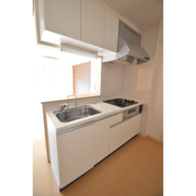 キッチン　システムキッチン。現況優先。反転タイプあり。