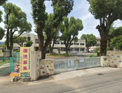 幼稚園・保育園　高知大学教育学部附属幼稚園（幼稚園・保育園）まで652m