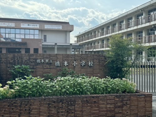 小学校　橋本市立橋本小学校（小学校）まで1626m