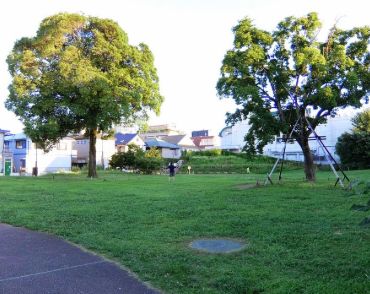 公園　吉祥寺西公園（公園）まで381m