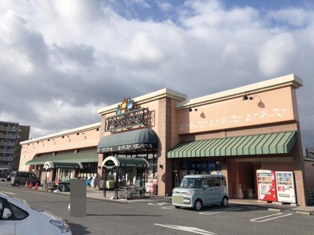 スーパー　ニシナフードバスケット福島店（スーパー）まで777m