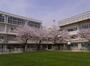 小学校　八名川小学校（小学校）まで1494m