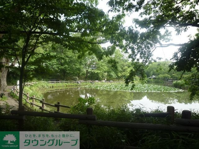 公園　★★菊名池公園（公園）まで921m