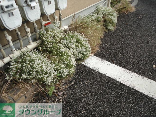 庭