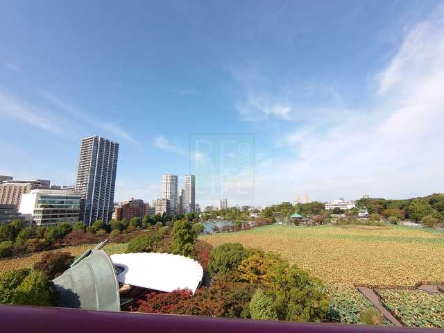 眺望　池之端加茂ビルC