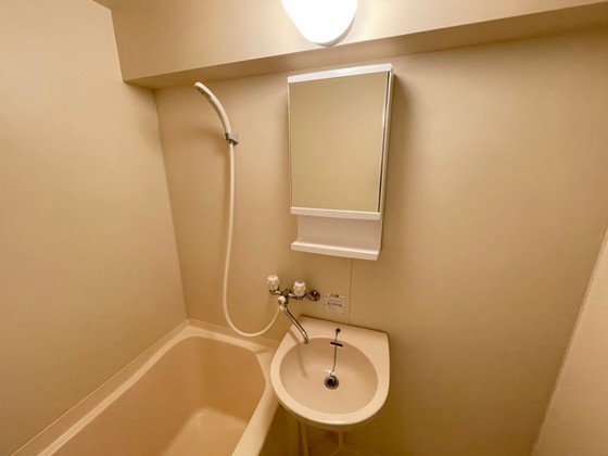 洗面設備　※別部屋の写真です