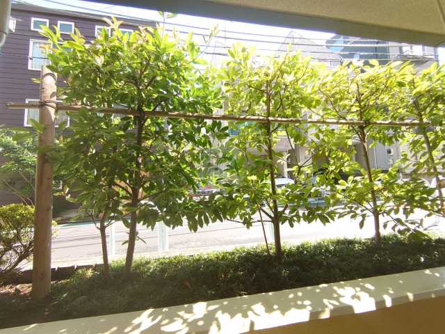 眺望　パティオ市谷