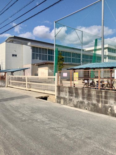 中学校　竜操中学校（中学校）まで1864m