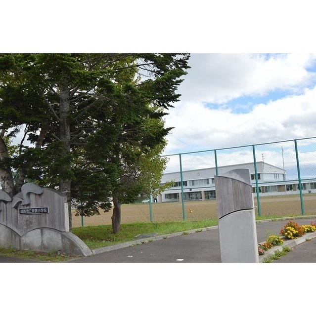 小学校　東雲小学校（小学校）まで980m