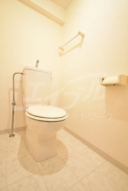 チサトハイツIIIのトイレ写真