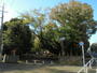 公園　世田谷公園（公園）まで1347m