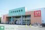 ドラックストア　ドラッグストア一本堂下石神井店（ドラッグストア）まで890m