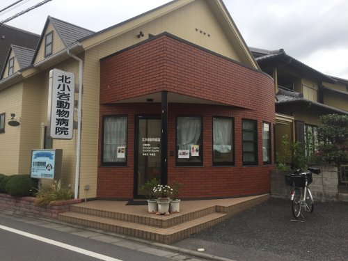 病院　北小岩動物病院（病院）まで317m