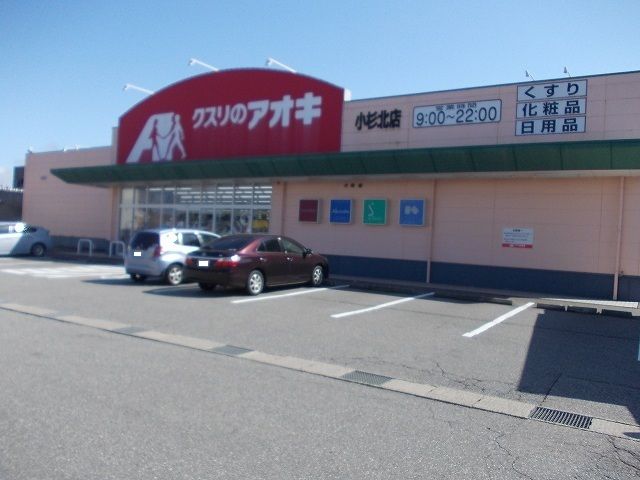 ドラックストア　クスリのアオキ（ドラッグストア）まで300m