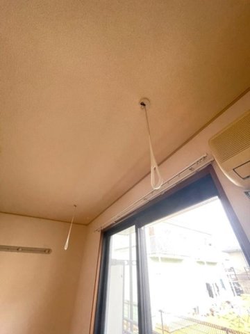 ウェールのその他写真