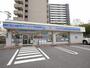 コンビニ　ローソン南金田二丁目店（コンビニ）まで594m