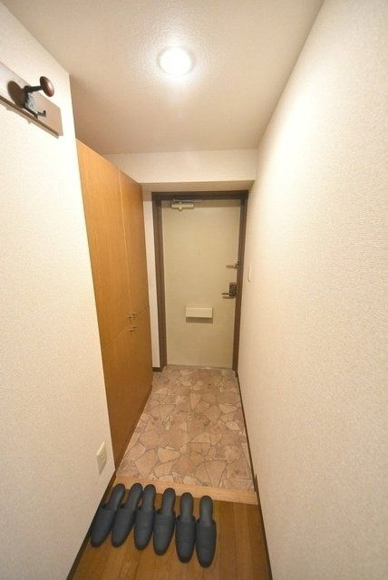 エマーレ保谷の玄関写真