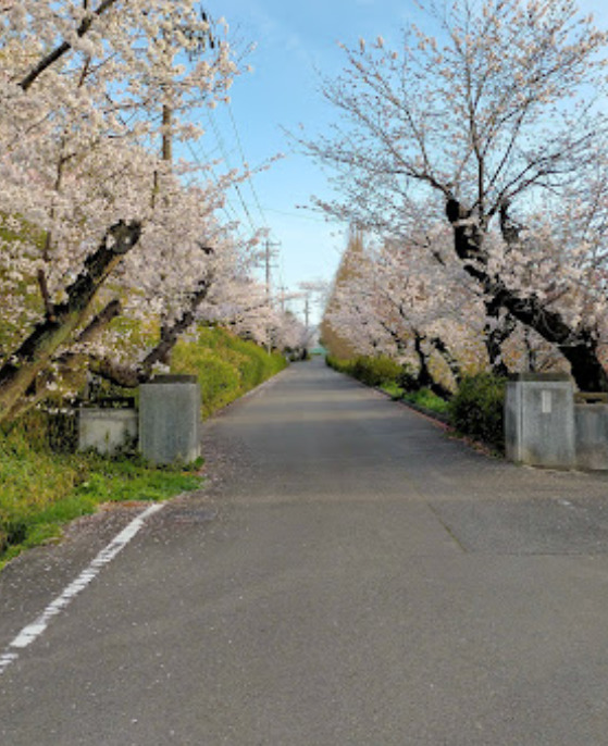 中学校　大府市立大府中学校（中学校）まで665m