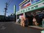 ドラックストア　富士薬品大和田店（ドラッグストア）まで1152m