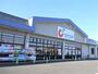 ドラックストア　カワチ薬品 上三川店（ドラッグストア）まで1021m