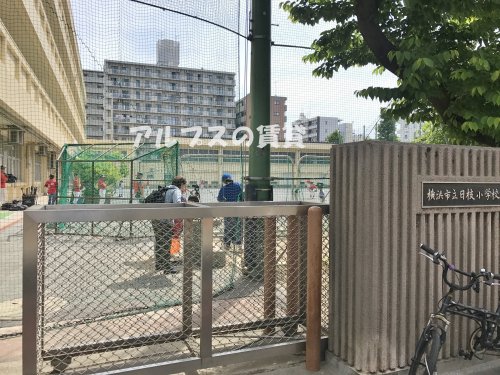 小学校　横浜市立日枝小学校（小学校）まで374m