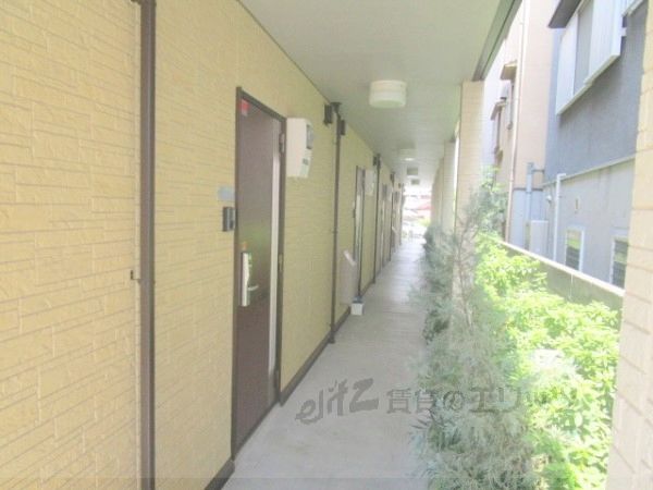 セレシェイラの外観写真