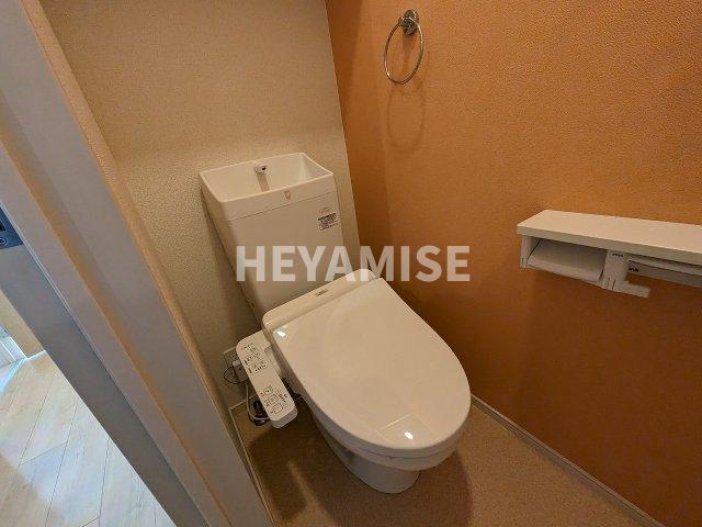 グランドソレイユ富の原 IIIのトイレ写真