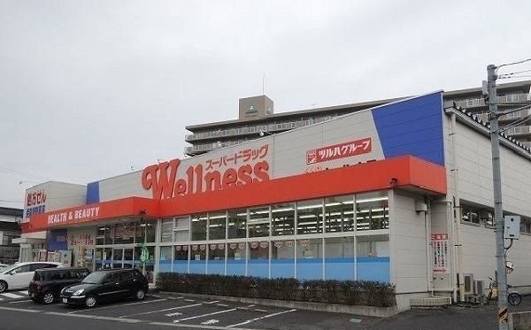 ドラックストア　ウェルネス 橋南店（ドラッグストア）まで1100m
